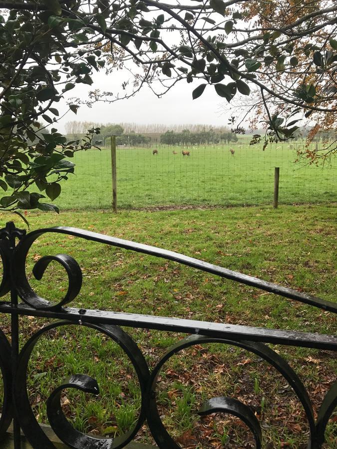 Mcivor Lodge Invercargill Dış mekan fotoğraf