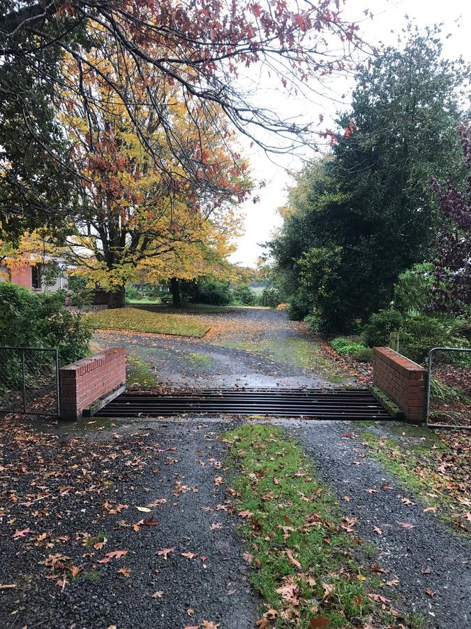 Mcivor Lodge Invercargill Dış mekan fotoğraf